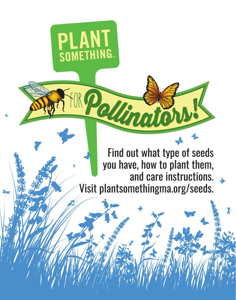 Massachusetts Flower Growers' Association seed packet