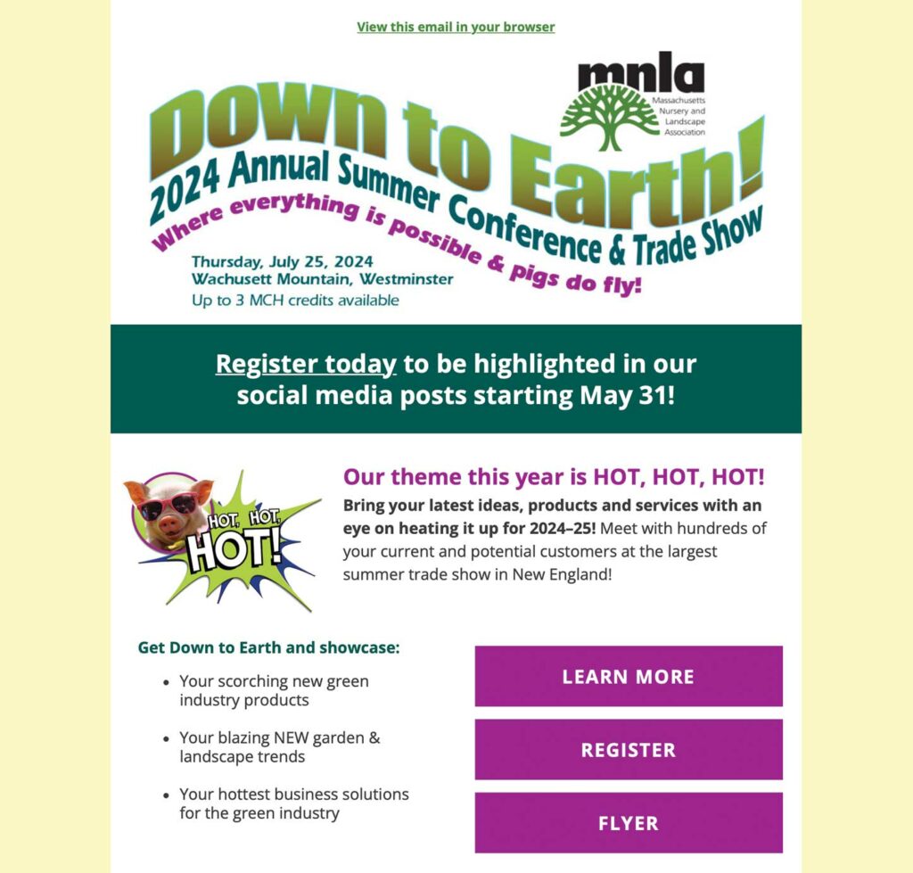 Mailchimp eblast advertising event