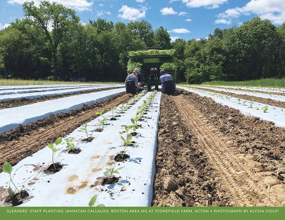 April in the 2026 calendar for the Massachusetts Department of Agricultural Resources
