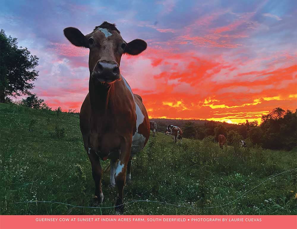 June in the 2026 calendar for the Massachusetts Department of Agricultural Resources