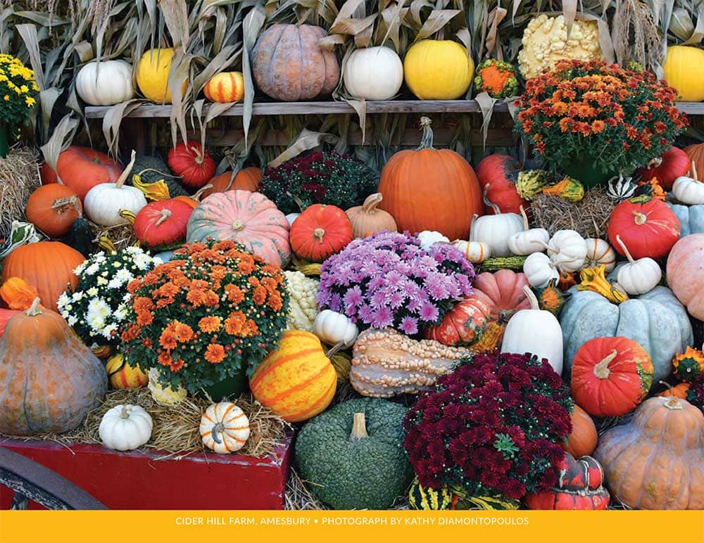 November in the 2026 calendar for the Massachusetts Department of Agricultural Resources